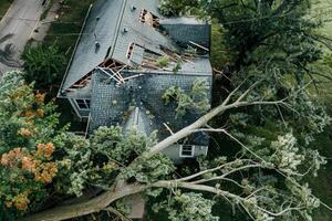 An aerial view of a house with a tree on top photo