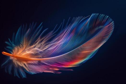 A beautifully colored feather glides effortlessly through a dark backdrop, showcasing intricate patterns and a spectrum of vibrant hues that capture the light photo