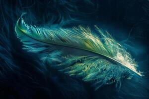 A colorful feather lies gracefully on a dark, textured background, showcasing intricate details and patterns, all highlighted by ambient light photo