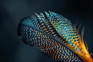 A detailed close-up reveals the stunning colors and patterns of a peacock feather, highlighting its bluish-green and orange hues on a dark backdrop photo