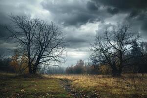 Bare trees stand silently in a misty field as dark clouds loom overhead during dusk, creating a serene yet foreboding atmosphere in nature photo