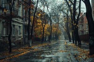 A serene street is lined with trees shedding their colorful leaves during a rainy autumn day, with puddles reflecting the muted surroundings and a tranquil atmosphere photo