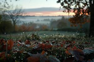 Early morning light illuminates a tranquil scene where sparkling dew droplets rest on vibrant autumn leaves scattered across the grass, set against a misty backdrop photo