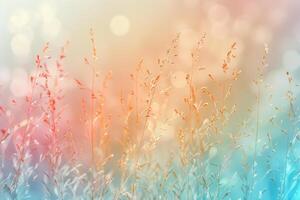 A field of grass with a blue sky in the background photo
