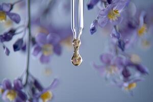 A drop of water is hanging from a flower photo