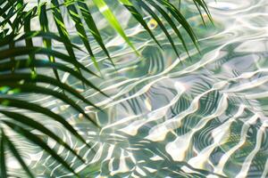 A palm tree is reflected in the water photo