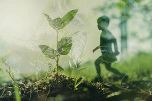 A child walks through a vibrant green area filled with young plants, engaging with nature beauty while sunlight filters through the trees, creating a peaceful atmosphere photo