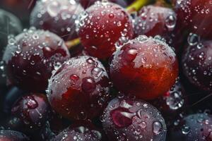 A close up of grapes with water droplets on them photo