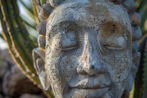 The stone face sculpture exudes tranquility with its peaceful expression, set against a backdrop of vibrant cacti in a tranquil garden during the golden hour photo