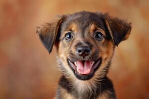 A cheerful puppy with bright eyes and a wide smile shows its playful nature while sitting against a softly blurred, warm-toned background photo