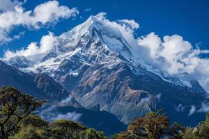 A mountain with snow capped peaks and trees photo