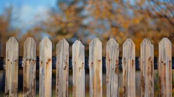 A wooden fence with a few missing boards photo