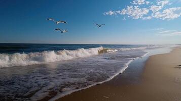 Seagulls flying over the ocean waves on a sunny day photo