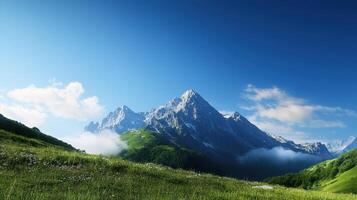 Mountain landscape with green grass and flowers photo