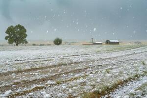 A field with snow falling on it photo