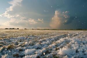 A field of snow covered with clouds and grass photo
