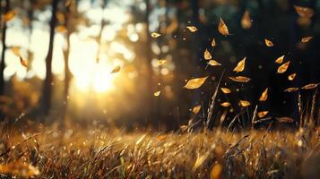 A field of grass with leaves blowing in the wind photo