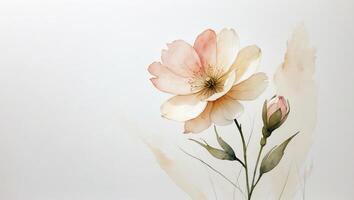 Soft pastel floral artwork featuring a blooming flower and budding rose on a light background photo