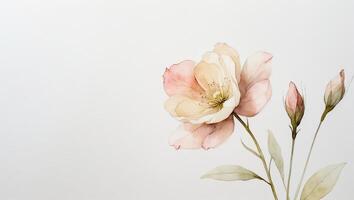 Delicate floral arrangement featuring soft peach blooms against a neutral background photo