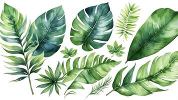 Vibrant tropical leaves illustrated with various shades of green showcasing nature's beauty in a serene setting photo