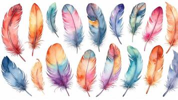 Colorful watercolor feathers arranged in an artistic pattern showcasing vibrant hues and delicate details photo