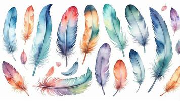 Colorful watercolor feathers in various shapes and sizes arranged creatively on a white background photo