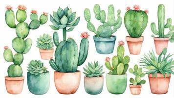 Variety of potted cacti and succulents displayed in planters with soft colors showcasing vibrant greenery photo