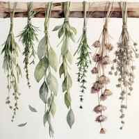 Hanging herbs and dried flowers displayed in a natural setting showcasing a variety of colors and textures photo