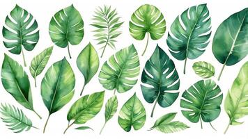 Various green tropical leaves arranged in a vibrant pattern for nature-inspired decor or design projects photo