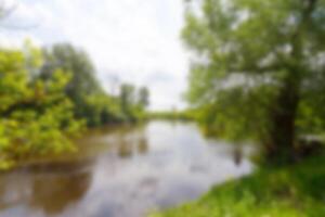 Blurred park, natural background photo