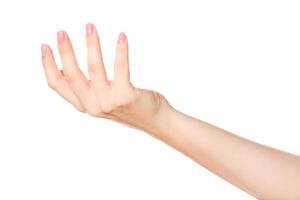 Hand reaching out with elegant fingers against a plain background captures a moment of gesture and invitation photo
