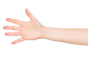 Open hand reaching out to the viewer in a neutral setting during daylight hours photo
