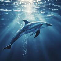Dolphin underwater with sunlight and bubbles photo