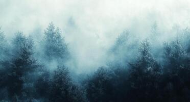 A forest with trees in the fog photo