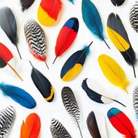 Colorful feathers on white background photo