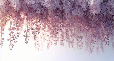 A beautiful purple flower hanging from a tree photo