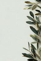 Olive branch on white background photo
