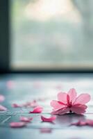 A pink flower sits on the floor in front of a window photo