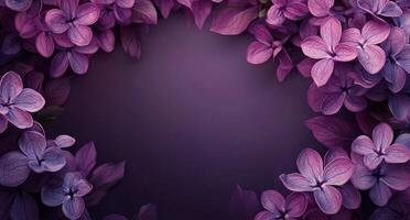 Purple flowers on a dark background photo