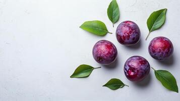 Plums with leaves on white background photo