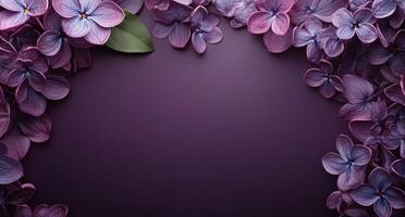 Purple flowers on a dark background photo