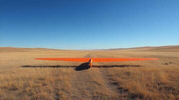 A glider is sitting in the middle of a field photo