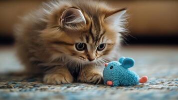 A kitten playing with a toy mouse photo