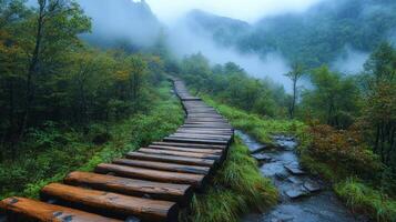 A wooden path leads through the forest to a waterfall photo