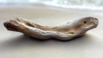 A driftwood boat on the beach photo