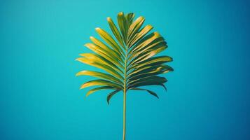 A palm leaf on a blue background photo