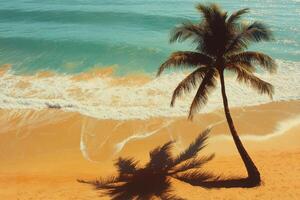 A palm tree on a beach with the ocean in the background photo