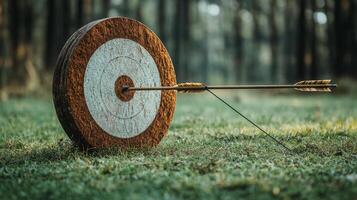 An arrow is in the center of a target photo