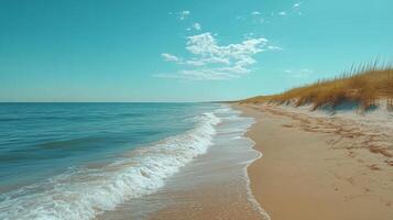 A sandy beach with waves and grass on the shore photo