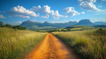 A dirt road in the middle of a field photo